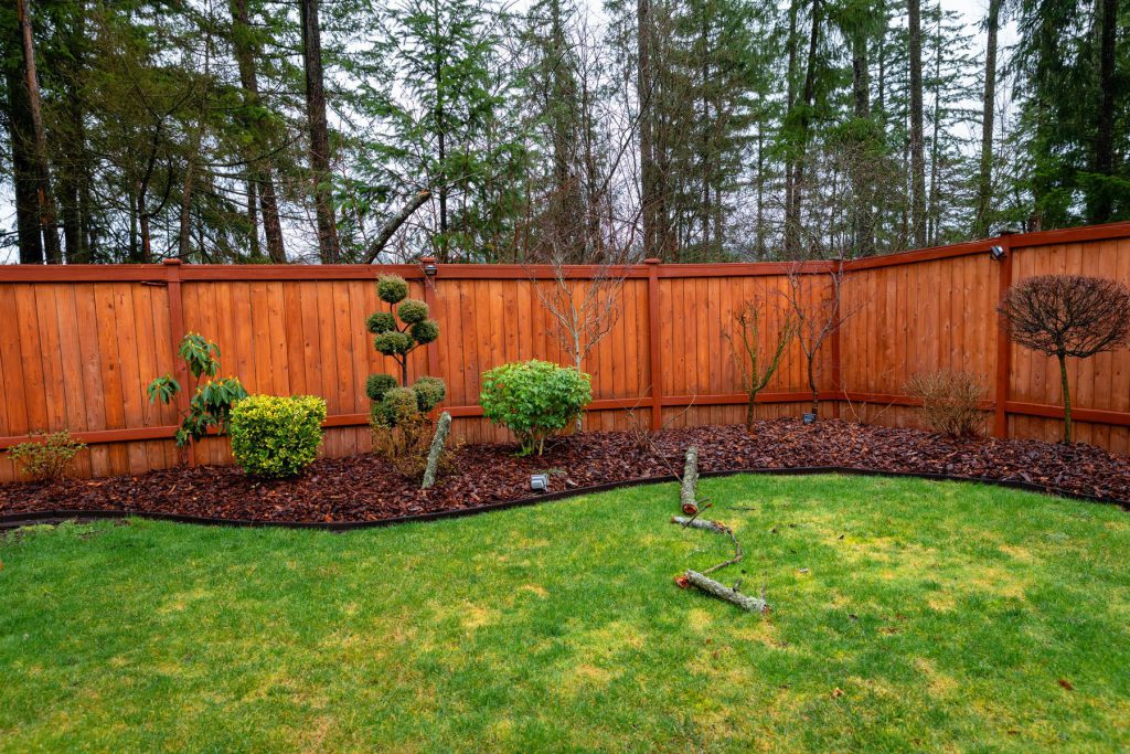 best stain for cedar fence